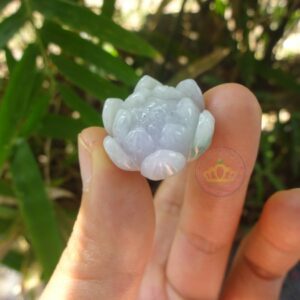 Hoa sen ngọc Jadeite A