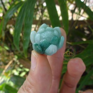 Hoa sen ngọc Jadeite A