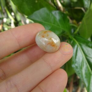 Mặt nhẫn ngọc Jadeite A