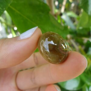 Mặt nhẫn ngọc Jadeite A