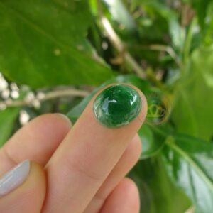 Mặt nhẫn ngọc Jadeite A