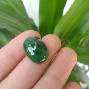 Mặt nhẫn ngọc Jadeite A