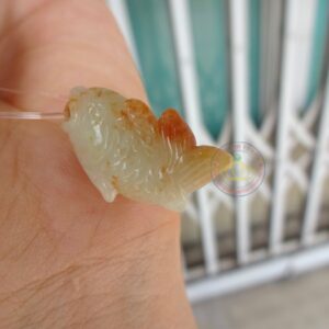 Cá chép ngọc Jadeite A