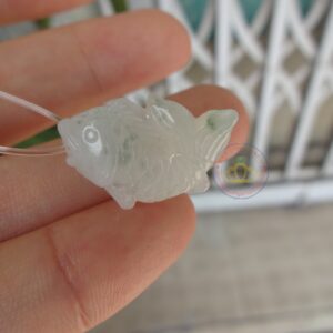 Cá chép ngọc Jadeite A