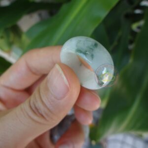 Nhẫn ngọc Jadeite A