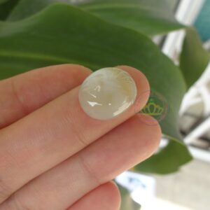 Mặt nhẫn ngọc Jadeite A