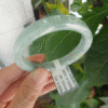 Vòng ngọc Jadeite A – Ni 52